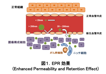 EPR効果の特徴
